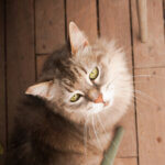 Lucruri de care nu ar trebui să-ți pese la alți oameni