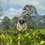 Vacanță în Sri Lanka: 7 cazări în 14 zile