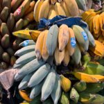 Cum am descoperit că există banane albastre sau că unele pot avea gust de măr sau lămâie